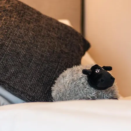 The White Rose With Hot Tub Orman Evi York